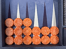 Polyester Backgammon Checkers 10mmx44.5mm Orange